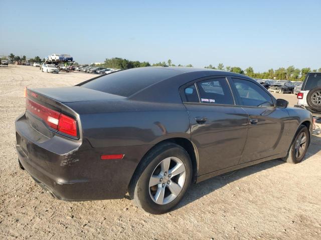 VIN 2C3CDXHG2DH647596 2013 Dodge Charger, Sxt no.3