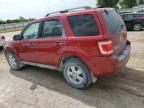 FORD ESCAPE XLT photo