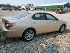 LEXUS ES 300 photo