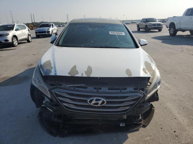 2017 HYUNDAI SONATA SPO - 5NPE34AF9HH437548
