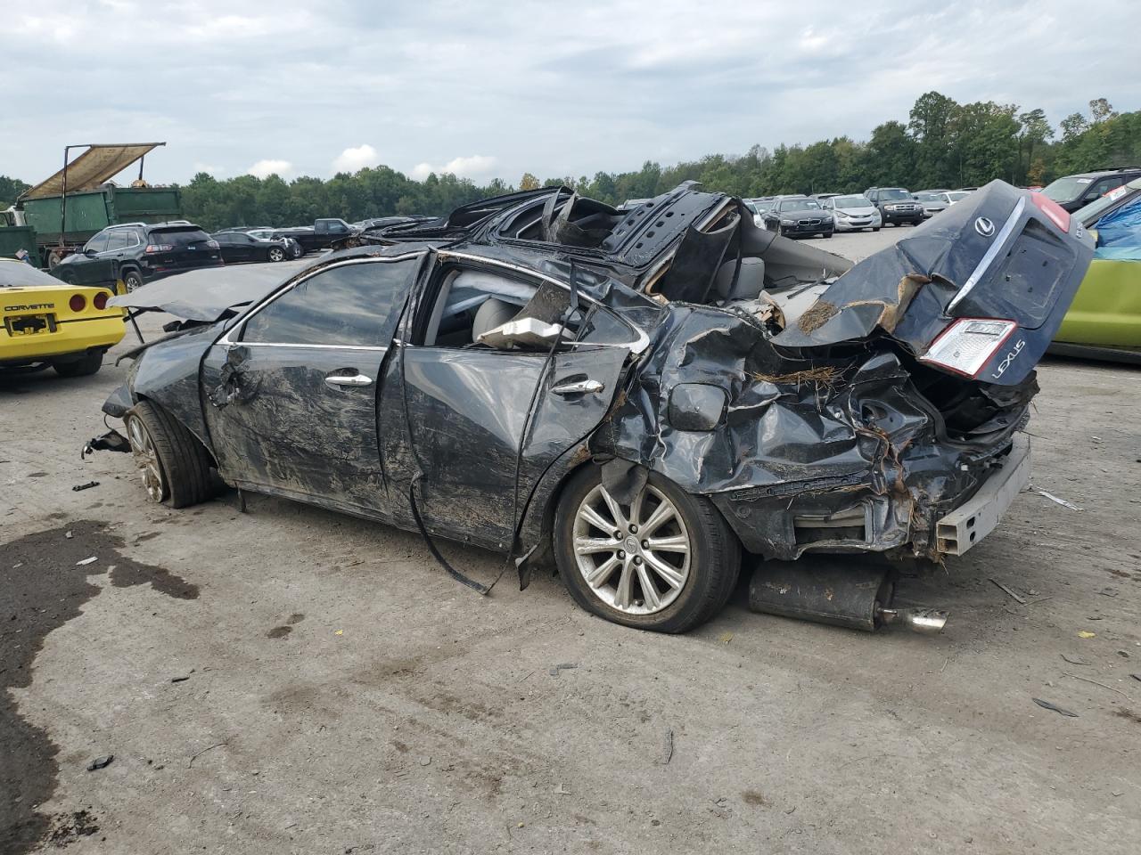 Lot #2989152703 2007 LEXUS ES 350