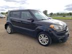 KIA SOUL + photo