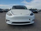 TESLA MODEL Y photo