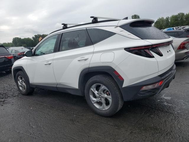 2023 HYUNDAI TUCSON SEL - 5NMJBCAEXPH237714