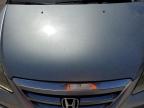 Lot #3024450552 2005 HONDA ODYSSEY EX