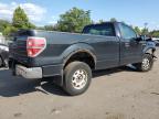 FORD F150 photo