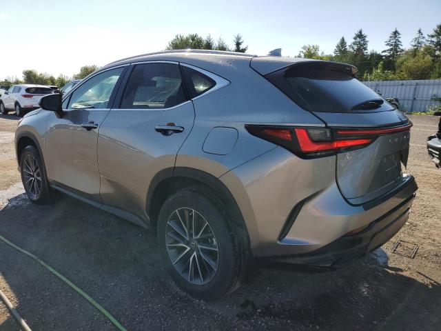 LEXUS NX 250 2023 silver  gas 2T2ADCEZ2PC003530 photo #3