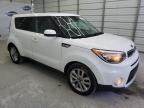 KIA SOUL + photo