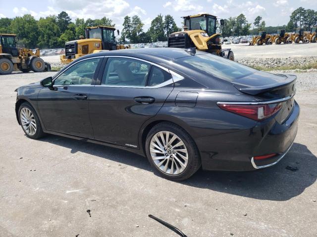 2021 LEXUS ES 300H UL - 58AFA1C16MU010181