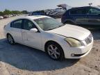 NISSAN MAXIMA SE photo