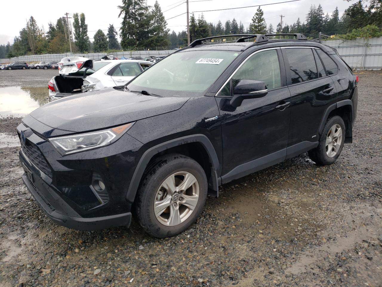 Lot #2993728150 2021 TOYOTA RAV4 XLE