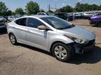 HYUNDAI ELANTRA SE photo