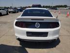 FORD MUSTANG GT photo