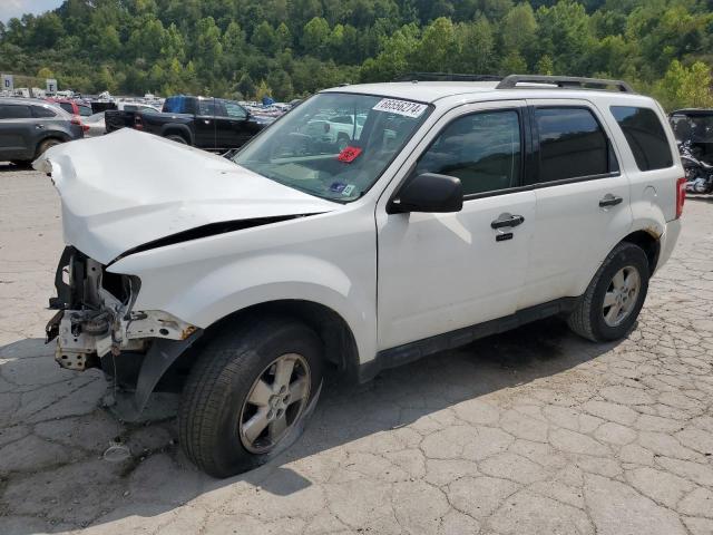 Vin: 1fmcu9dg8akd28006, lot: 66556274, ford escape xlt 2010 img_1