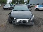 HONDA ACCORD SE photo