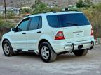 MERCEDES-BENZ ML 350 photo