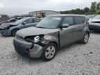 KIA SOUL photo