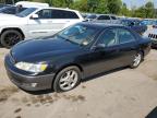 LEXUS ES 300 photo