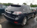 LEXUS RX 350 photo