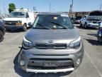 KIA SOUL + photo