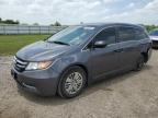 HONDA ODYSSEY LX photo