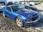 FORD MUSTANG GT photo