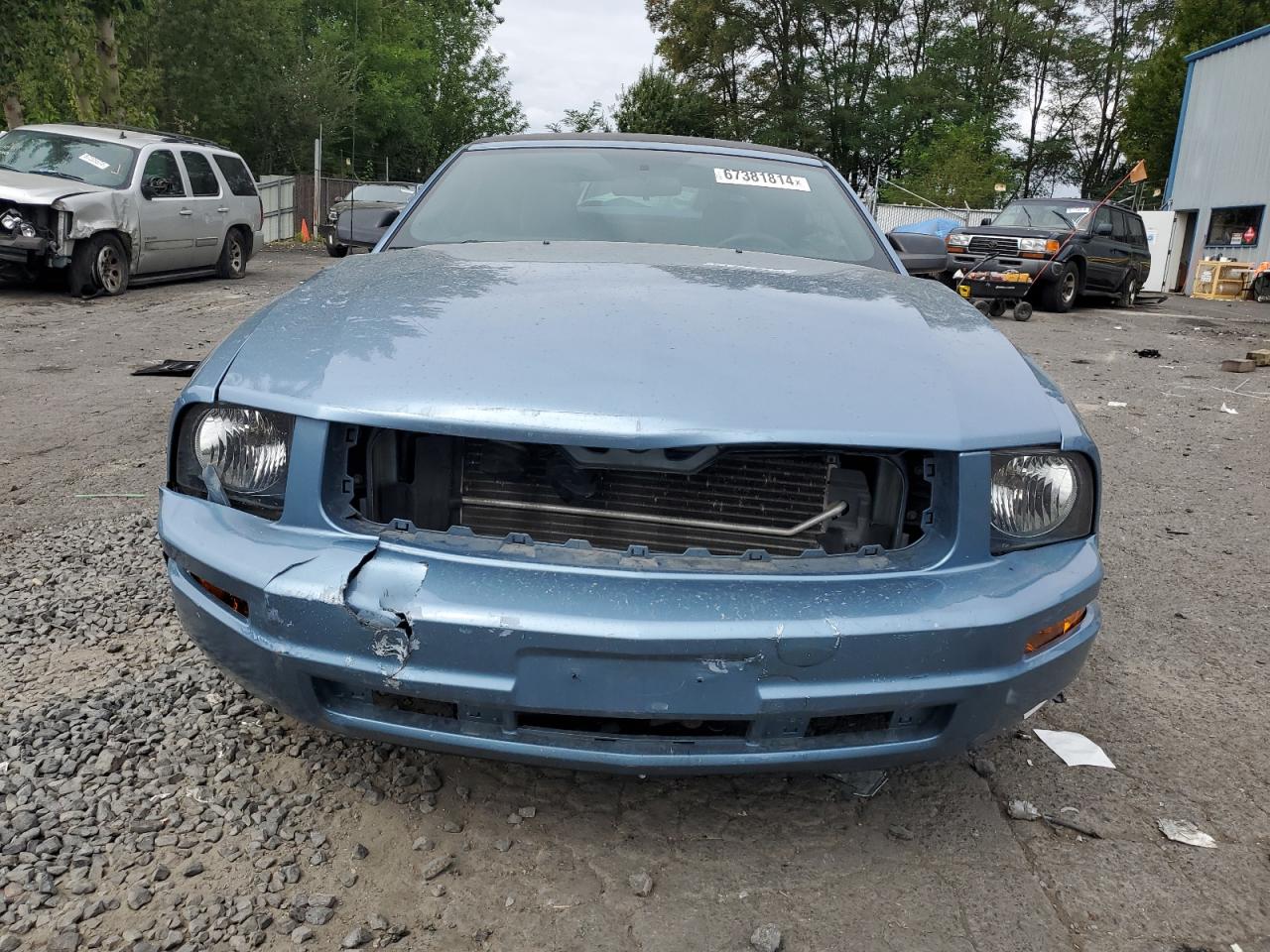 Lot #3004295803 2007 FORD MUSTANG DE