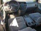 HONDA ODYSSEY LX photo