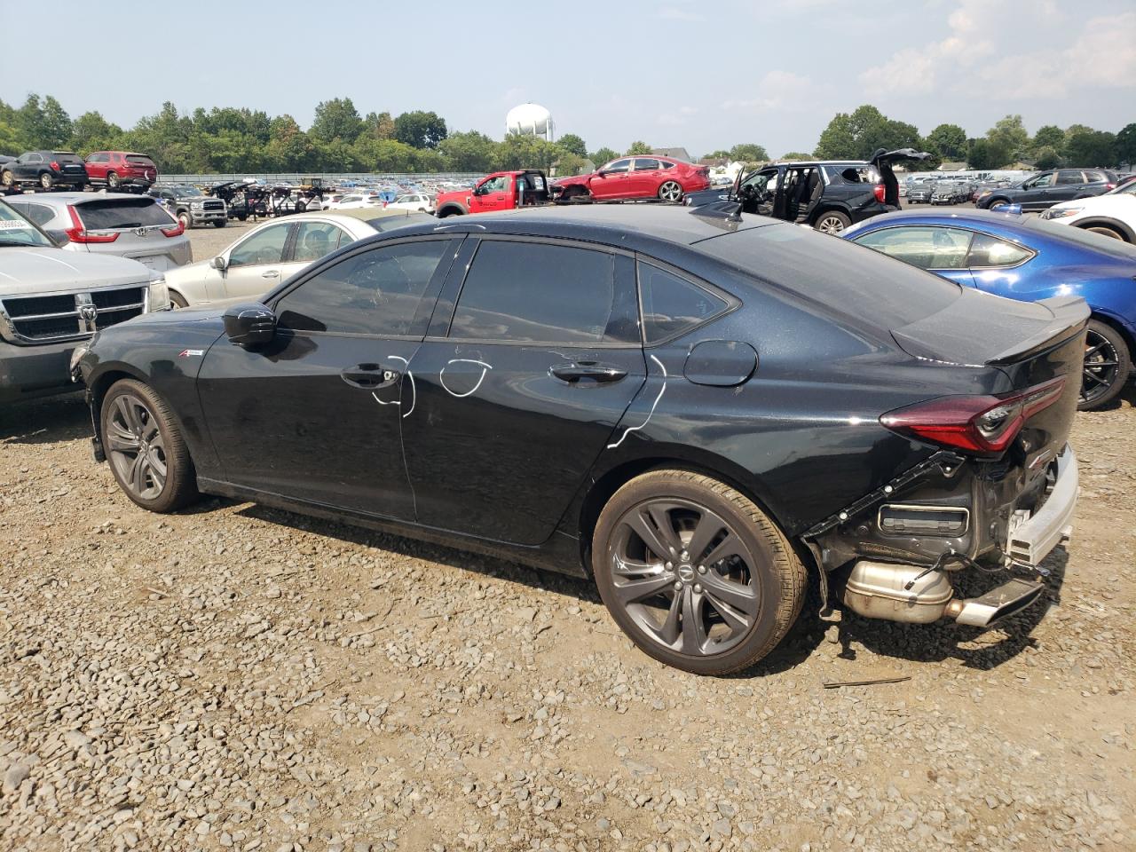 Lot #2945161680 2023 ACURA TLX TECH A