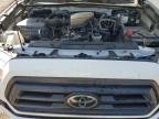 TOYOTA TACOMA ACC photo