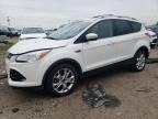 Lot #3024078631 2015 FORD ESCAPE TIT