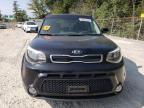 KIA SOUL + photo