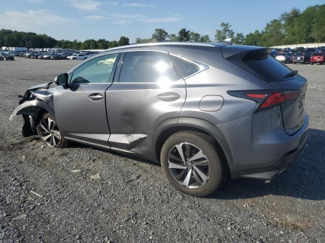 VIN JTJGARDZ6L2236067 2020 Lexus NX, 300 no.2