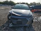 HYUNDAI ELANTRA SE photo