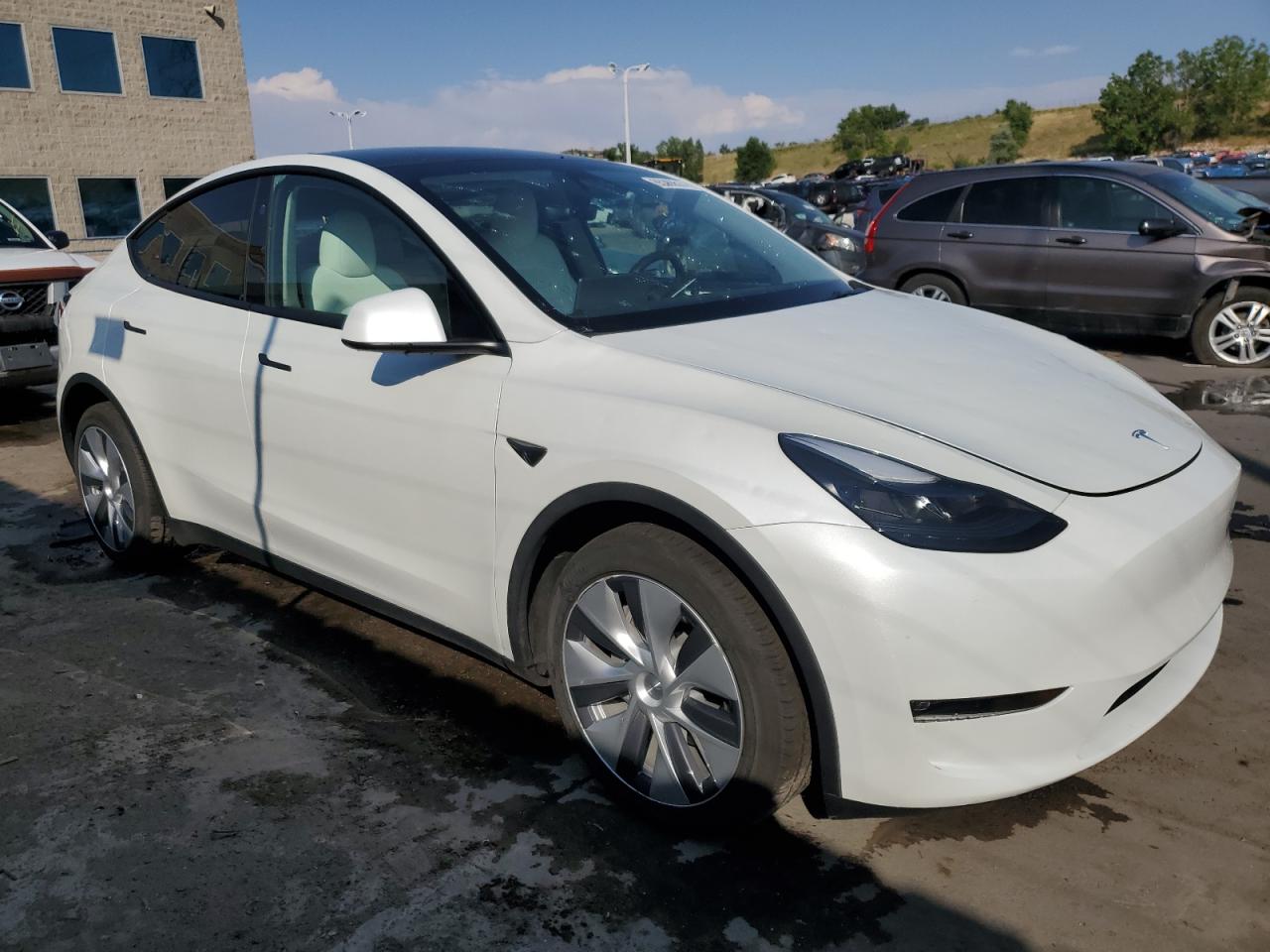 Lot #2941014472 2023 TESLA MODEL Y