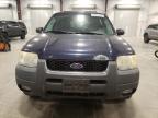 FORD ESCAPE XLT photo