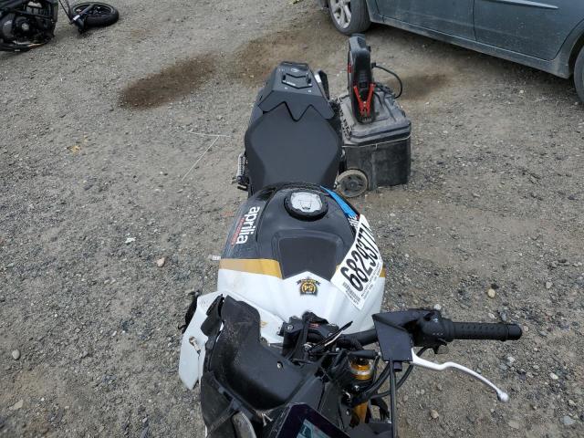 2024 APRILIA TUONO V4 F - ZD4KZUB00RS001061