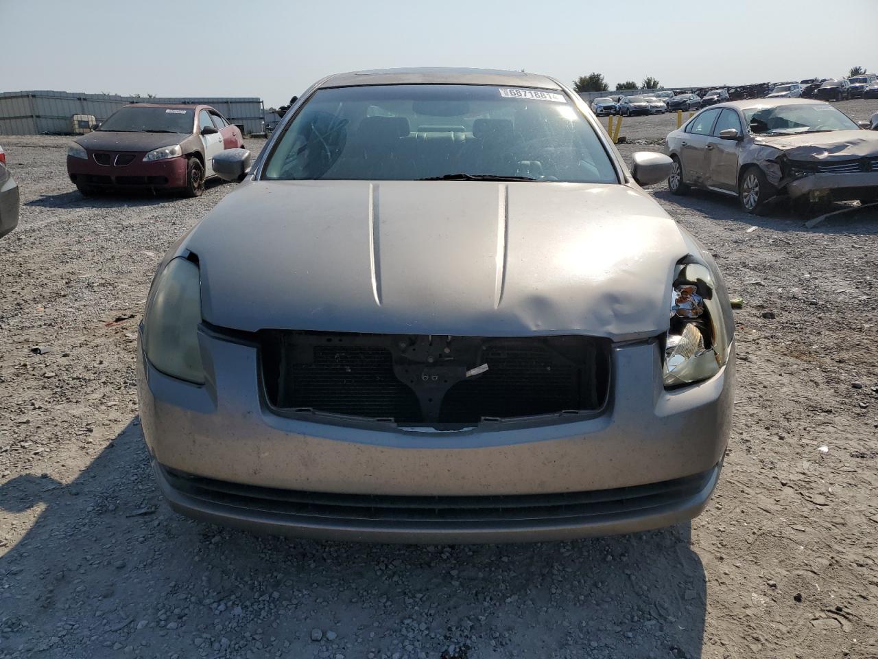 Lot #2823778423 2005 NISSAN MAXIMA SE