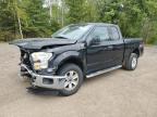2015 FORD F150 SUPER - 1FTEX1E89FFC40112