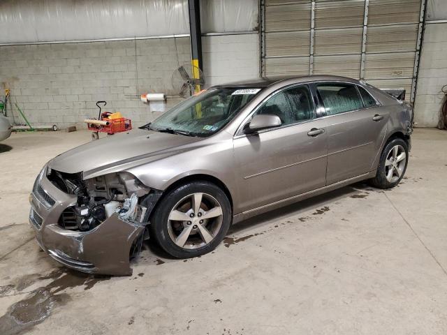 CHEVROLET MALIBU 1LT