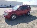 FORD ESCAPE XLT photo