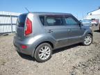 KIA SOUL + photo