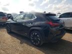 LEXUS UX 250H photo