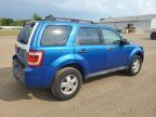 FORD ESCAPE XLT photo