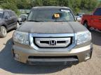 HONDA PILOT EXL photo