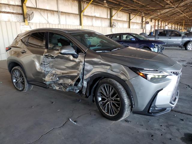 2024 LEXUS NX 350 LUX 2T2HGCEZXRC036431