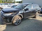 TOYOTA RAV4 XLE P photo