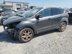 2015 FORD ESCAPE TIT - 1FMCU0JX9FUA24159