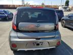 KIA SOUL + photo