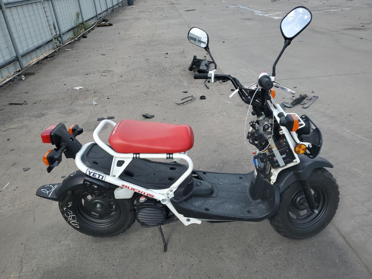 Honda NPS50 (Ruckus) 2019 